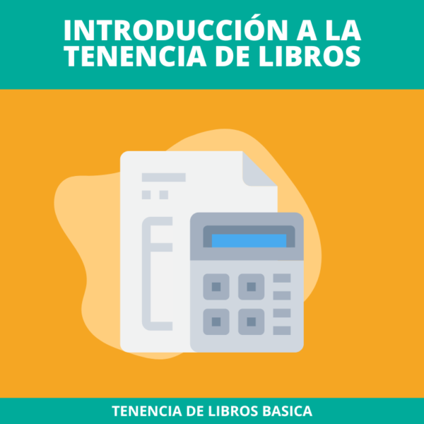 Tenencia de libros basica: Introducción a la tenencia de libros